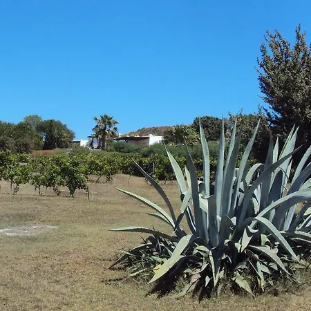 Ferienhaus Kos Mastichari (Kos)