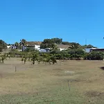 Kos