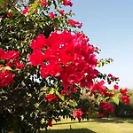 Kos Holiday home *