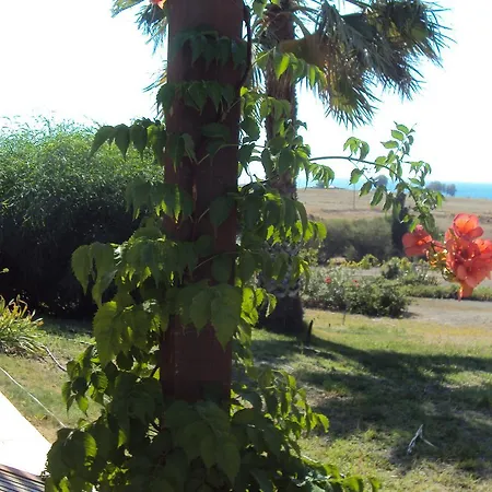 Hébergement de vacances Kos *