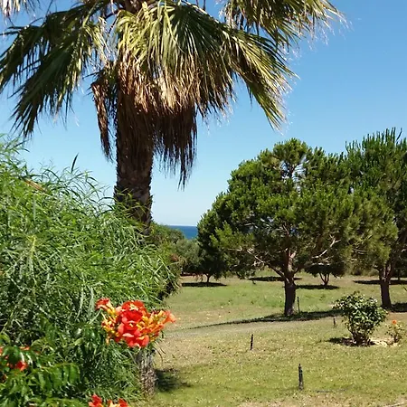 Kos Dom wakacyjny Mastichari (Kos)