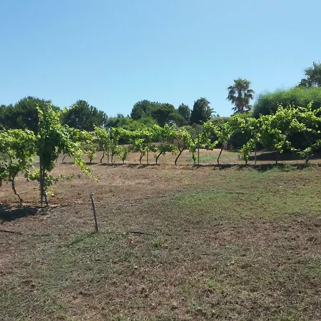 Hébergement de vacances Kos *