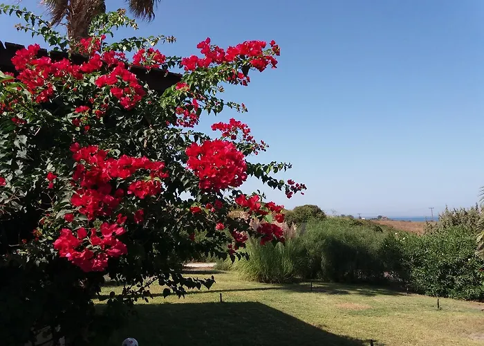 Kos Mastichari (Kos)