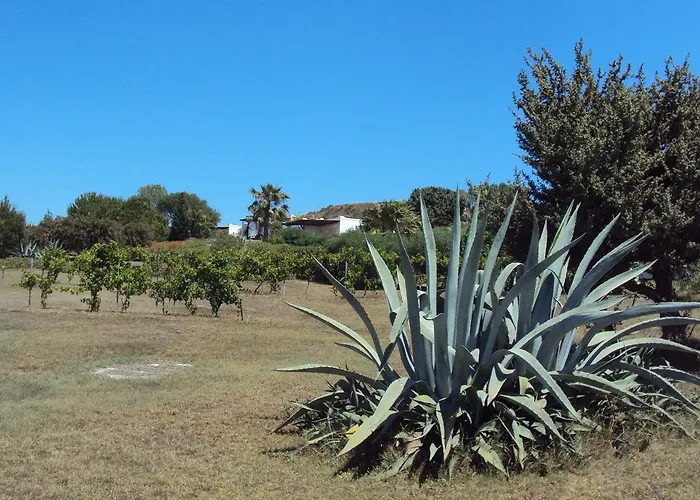 Tatil Evi Kos Mastichari (Kos)
