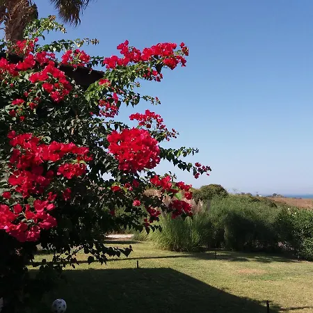 Kos Mastichari (Kos)